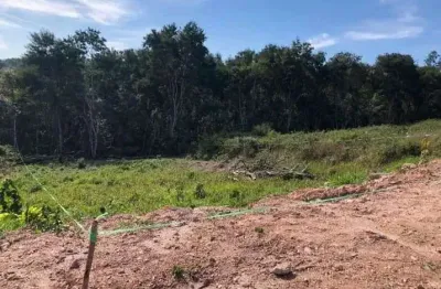 Terreno à venda, 1036 m² por r$ 450.000,00 - condomínio reserva ibirapitanga - santa isabel/sp