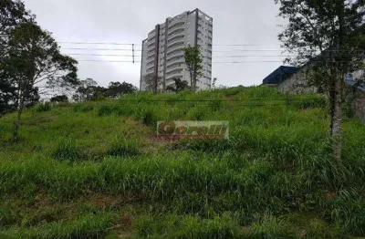 Terreno à venda, 3526 m² por r$ 4.100.000,00 - arujamerica - arujá/sp