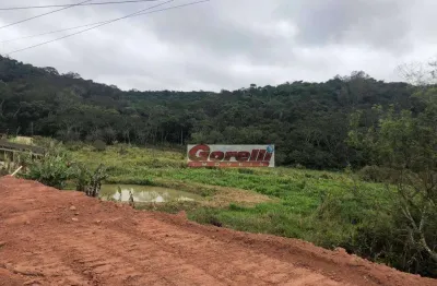 Área à venda, 150000 m² por r$ 30.000.000,00 - taboão - mogi das cruzes/sp