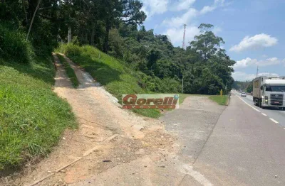 Sítio com 3 dormitórios à venda, 50000 m² por r$ 1.130.000,00 - cachoeira - santa isabel/sp