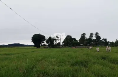 Chácara / sítio à venda na Vila Mataruna, Casimiro de Abreu 