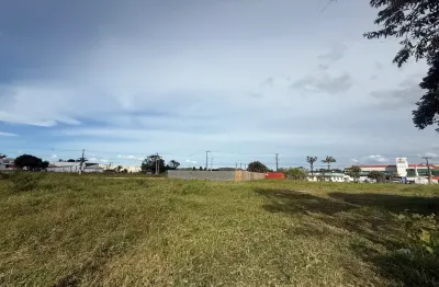 Terreno 590 m² - vivenda dos açores - são josé - sertã do imaruim - viabilidade 4 pavimentos misto