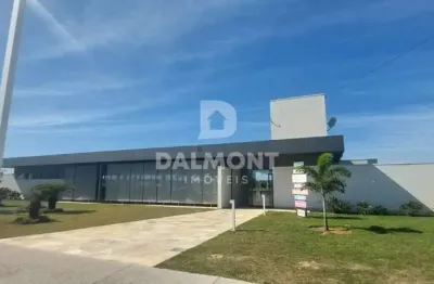 Terras alphaville - cabo friorj - terreno de 381,00 m²