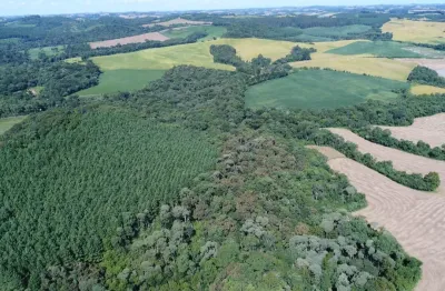 Vende-se imóvel rural com reflorestamento de pinus em irati-pr