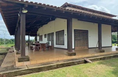 Fazenda premium para expansão de soja  — 1.147 hectares a 40 km de candeias do jamari/ro