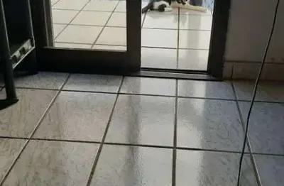 Apartamento no edificio gemini à venda, 01 dormitório, 68m²- vila brunhari