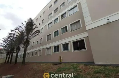 Borghesi | 2 dormitórios | 1 banheiro | 1 vaga | locação | bauru