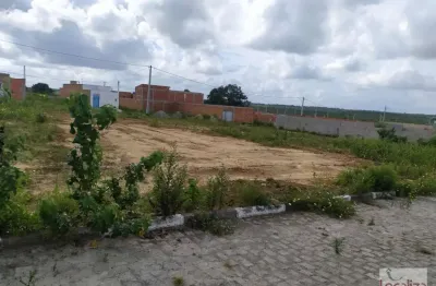 Chácara / sítio à venda no Tomba, Feira de Santana 