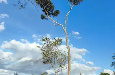 Chácara / sítio com 2 quartos à venda em Humildes, Feira de Santana 