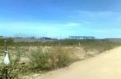 Chácara / sítio à venda no Papagaio, Feira de Santana 