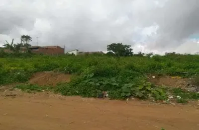 Chácara / sítio à venda no Campo do Gado Novo, Feira de Santana 