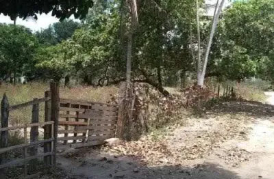 Chácara / sítio com 2 quartos à venda no Sim, Feira de Santana 