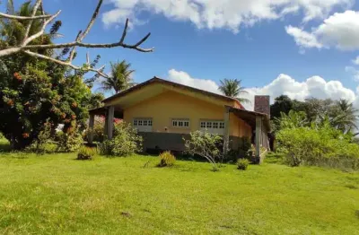 Fazenda à venda no Areal, Amélia Rodrigues 