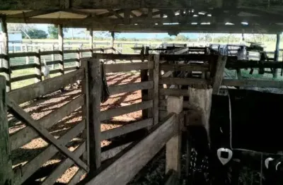 Chácara / sítio à venda no Centro, Cocalinho 