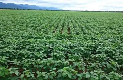 Chácara / sítio à venda no Centro, Rosário Oeste 