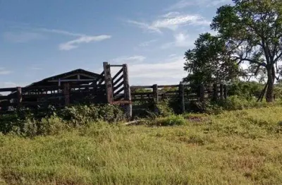 Chácara / sítio à venda no Centro, Nossa Senhora do Livramento 