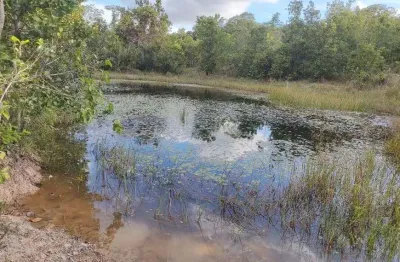 Maravilhosa área na região do morrinho no muni. de santo antônio de leverger