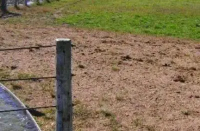 Chácara / sítio com 2 quartos à venda no Centro, Cocalinho 