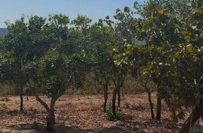 Chácara / sítio à venda no Centro, Chapada dos Guimarães 