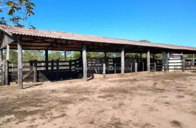 Chácara / sítio com 2 quartos à venda na Rua Santa Catarina, 75-s, SN, Centro, Campos de Júlio