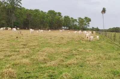 Chácara / sítio à venda no Centro, Araguainha 