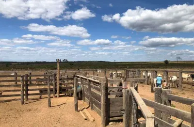 Chácara / sítio à venda no Centro, Paranatinga 