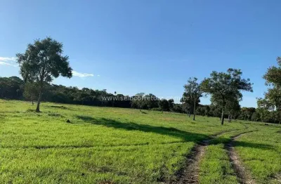 Excelente fazenda no muni. de são félix do araguaia e parte no muni. de luciara - mt
