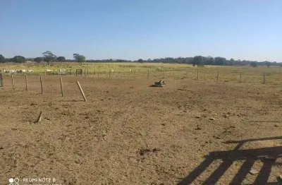 Chácara / sítio à venda na Vila Canaã, Rondonópolis 