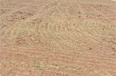 Chácara / sítio à venda no Centro, Pontes e Lacerda 