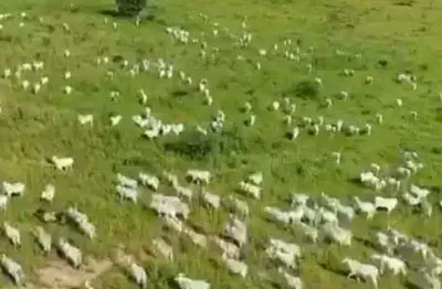 Chácara / sítio à venda no Centro, Araguaiana 