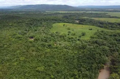 Excelente faz. de área bruta de dupla aptidão no muni. de nobres - mt