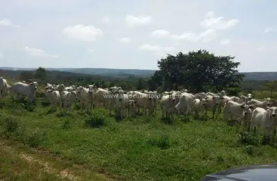 Chácara / sítio com 1 quarto à venda no Centro, Nova Brasilândia 