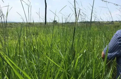 Chácara / sítio à venda no Centro, Pontes e Lacerda 