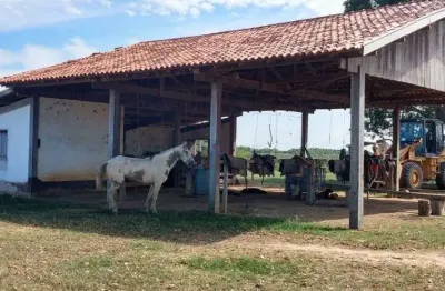 Chácara / sítio com 2 quartos à venda no Centro, Poconé 