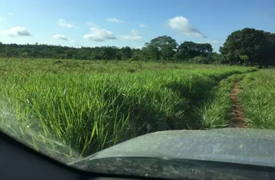 Chácara / sítio com 2 quartos à venda no Centro, Rosário Oeste 