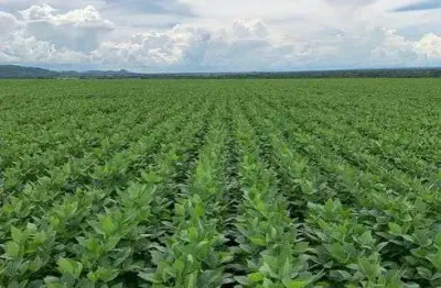 Chácara / sítio à venda no Centro, Paranatinga 