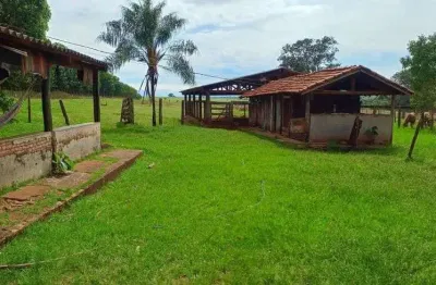 O p o r t u n i d a d e - chácara de seringa no muni. de cassilândia - ms