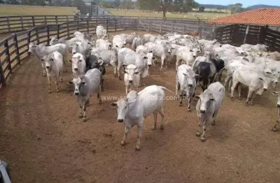 Chácara / sítio à venda no Centro, São Gabriel do Oeste 