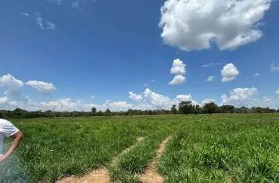 Chácara / sítio à venda no Centro, Nova Olímpia 