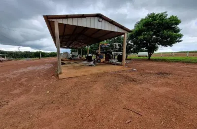 Fazenda para arendamento ou venda no muni. de nova ubiratã - mt