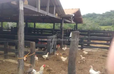 Oportunidade !! otima fazendinha de 137 há ideal para implantaçao de pousada