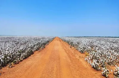 Chácara / sítio à venda no Centro, Tapurah 