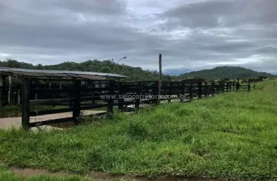 Chácara / sítio à venda no Centro, Santo Antônio do Leverger 