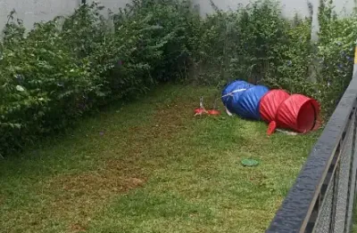 Apartamento com 2 quartos para alugar no Brás, São Paulo 