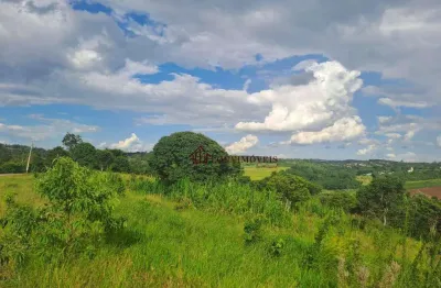 Chácara / sítio à venda na Rua Das Paineiras, Arataba, Louveira