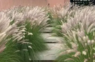 Casa com 3 dormitórios à venda, 255 m² por r$ 2.067.000,00 - condomínio san giovanni - itatiba/sp