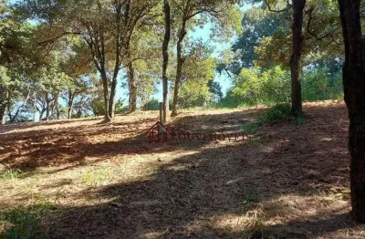 Terreno à venda, 3700 m² por r$ 2.200.000,00 - altos do morumbi - vinhedo/sp