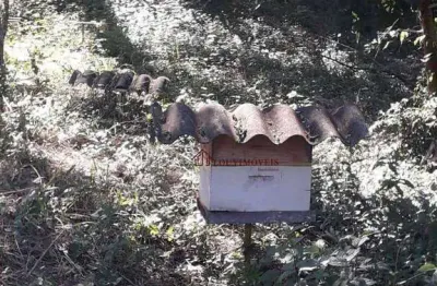 Terreno à venda, 26000 m² por r$ 3.519.000,00 - monte alegre - vinhedo/sp