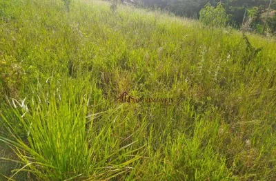 Chácara à venda, 5071 m² por r$ 350.000,00 - arataba ii - louveira/sp