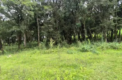 Terreno à venda na Rodovia Antônio Gasparin, S/N, Centro, Colombo